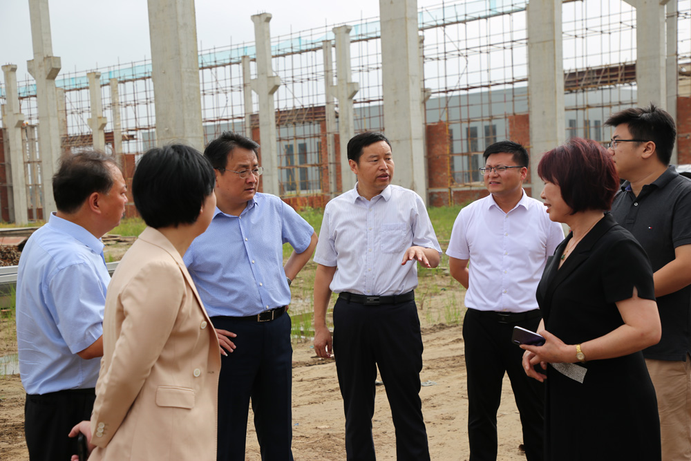 盐城市视远真空设备有限公司真空设备制造项目在建观摩现场